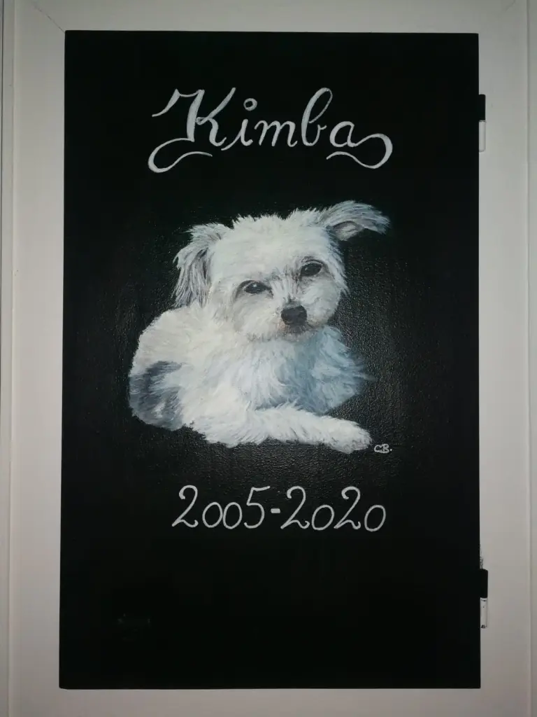 Image from Kimba