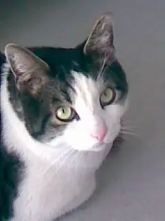 Andachtsbild von Petra mit Timmy tief im Herzen(✝️8.1.20)