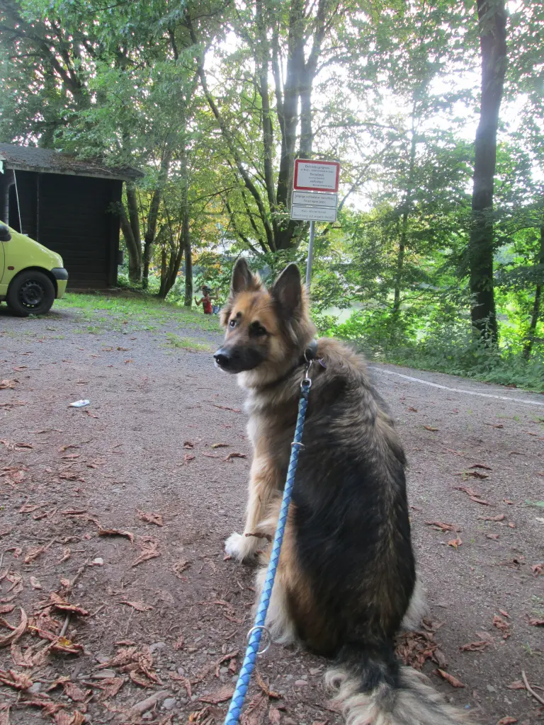 Image from Hektor