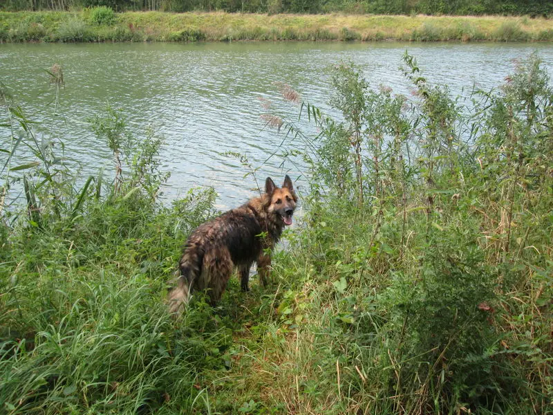 Image from Hektor