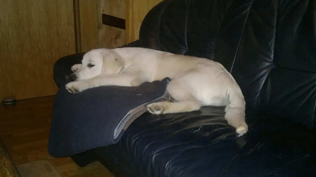 Image from Finlay