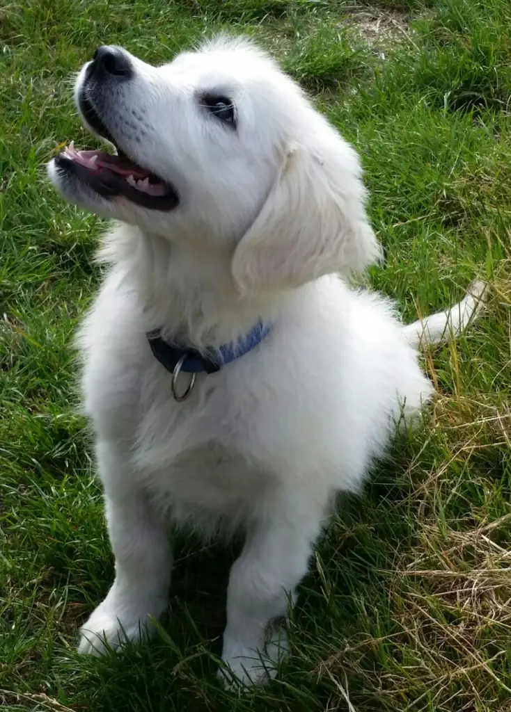 Image from Finlay