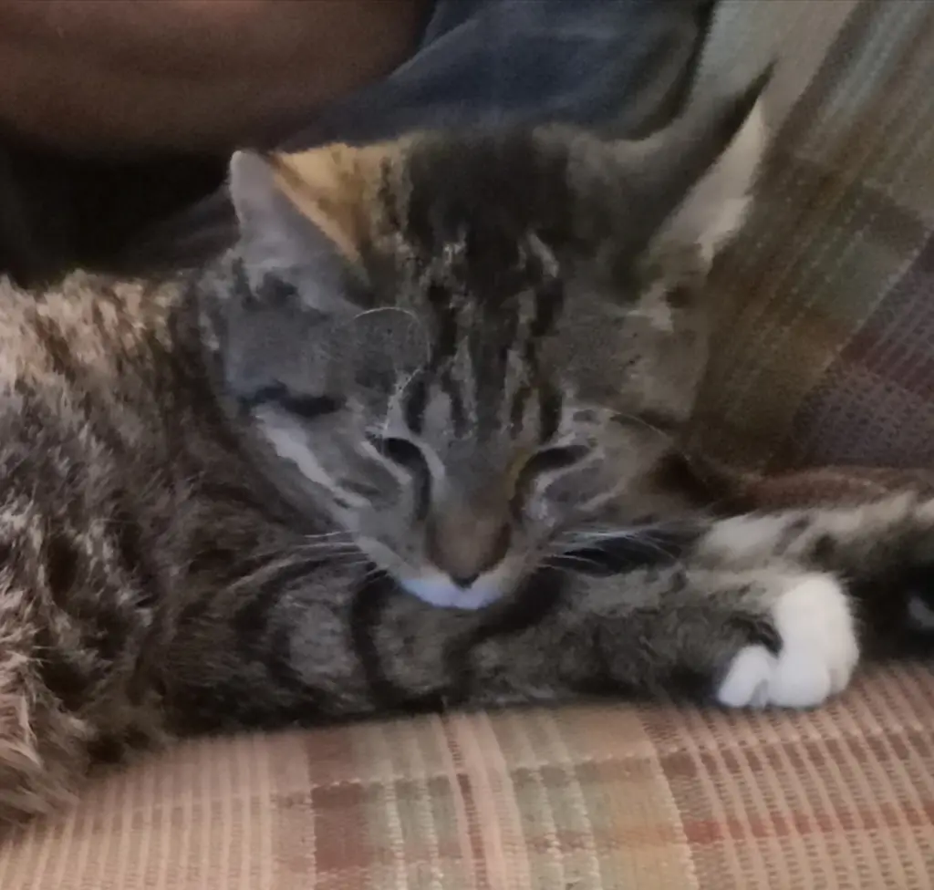Condolence image of Mama