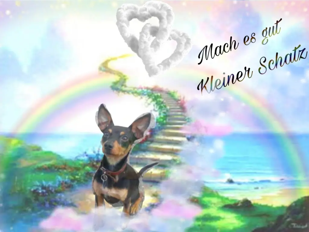 Condolence image of Janine