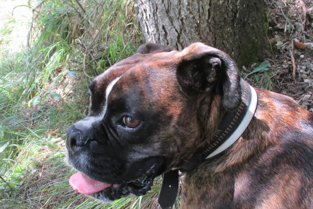 Condolence image of Kirsten