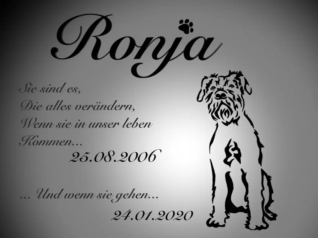 Image from Ronja