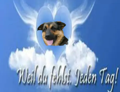 Condolence image of Unbekannt
