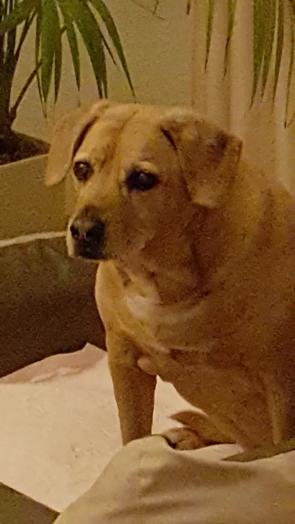 Condolence image of Kerstin