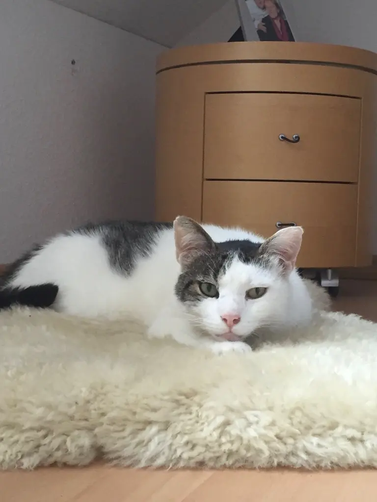 Andachtsbild von Susanne mit Cedric im Herzen