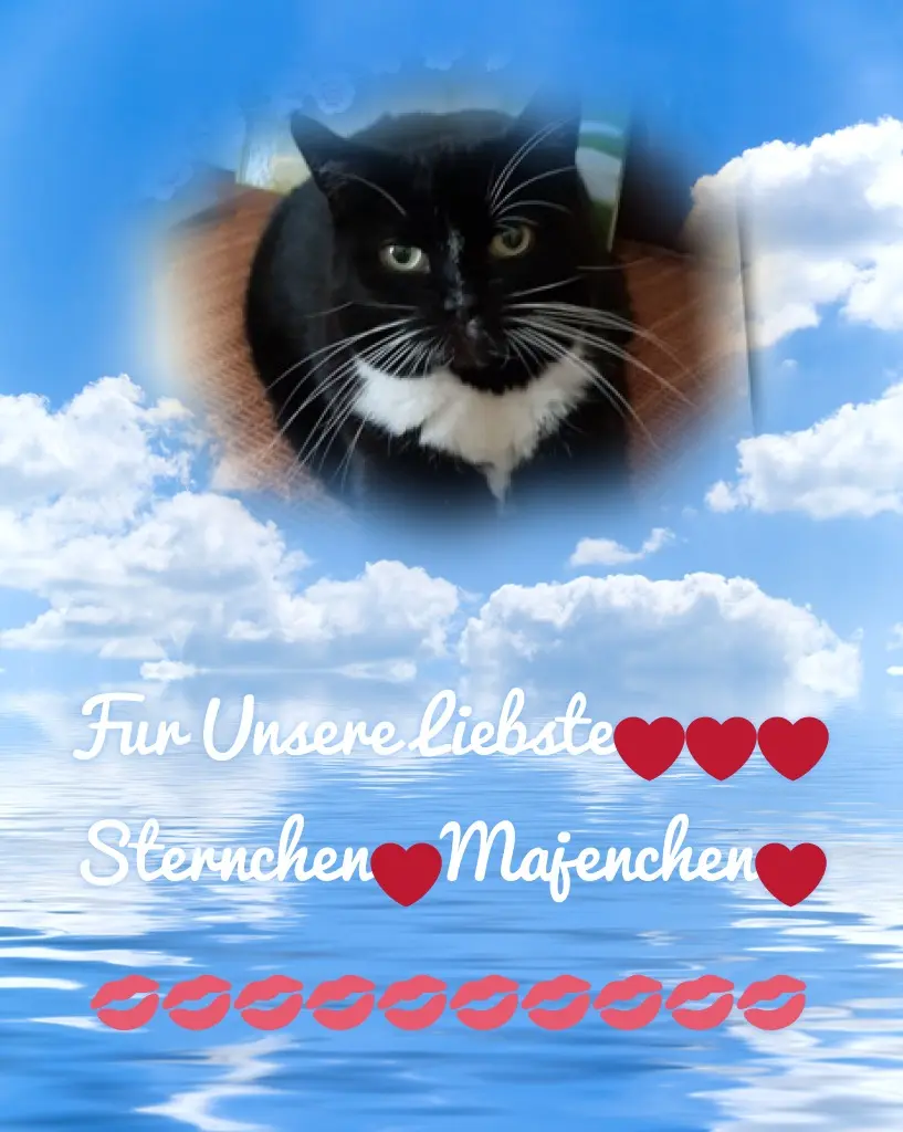 Andachtsbild von ❤️❤️❤️MAJA❤️❤️❤️