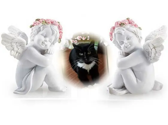 Andachtsbild von ❤️❤️❤️