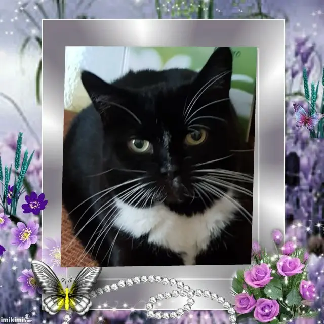 Andachtsbild von ❤️❤️❤️