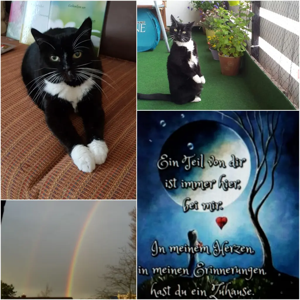 Andachtsbild von Eike und Edeltraud mit Mulle Miezi, Jonny und Felix  tief im Herzen 