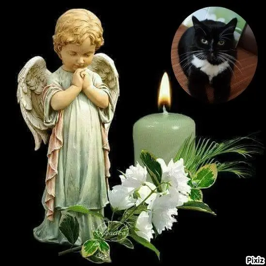 Andachtsbild von Jutta und Axel