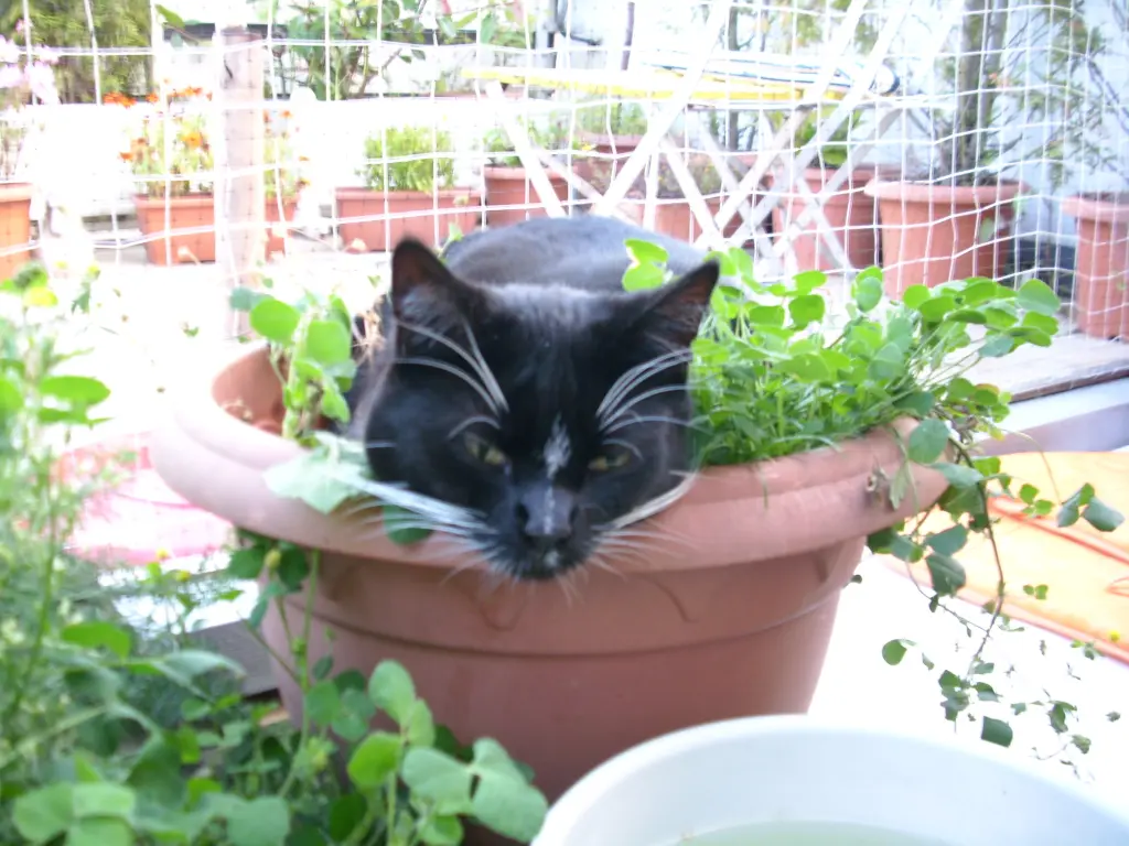 Andachtsbild von deiner Ilse in Liebe