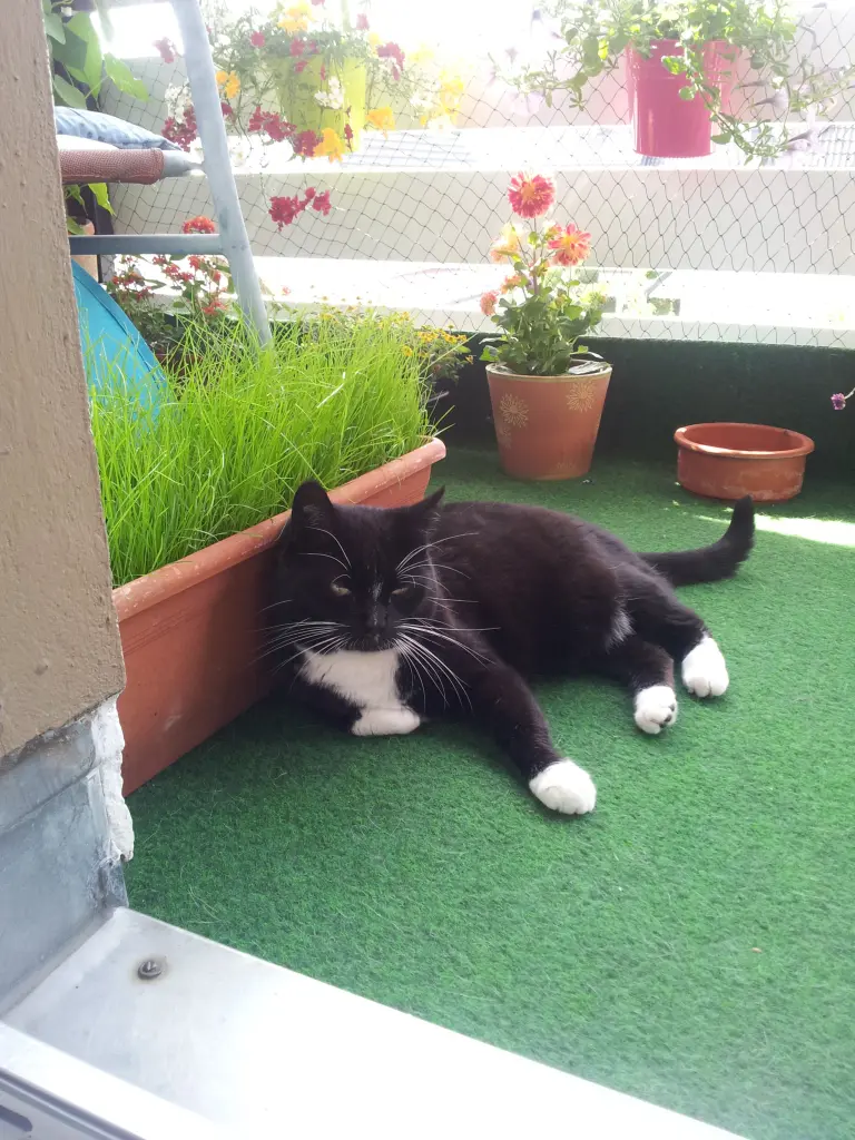 Andachtsbild von deiner Ilse in Liebe