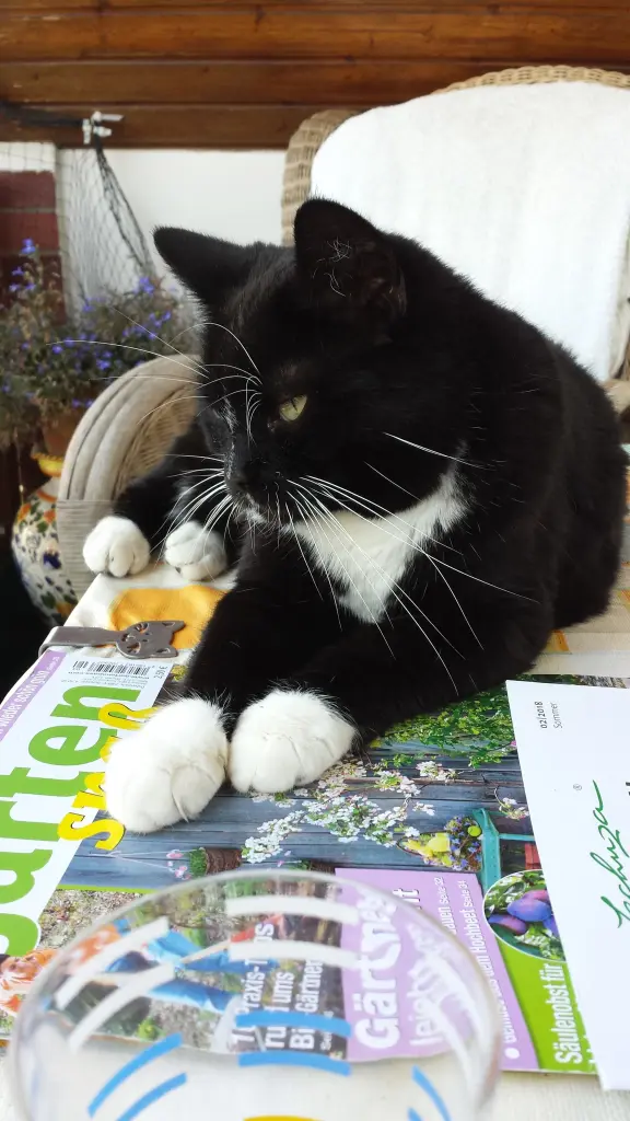 Andachtsbild von deiner Ilse, ein Monat ohne dich