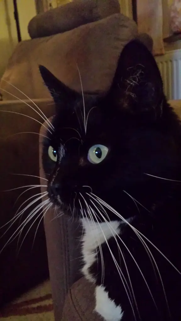 Andachtsbild von deiner Ilse, zwei Monate ohne dich