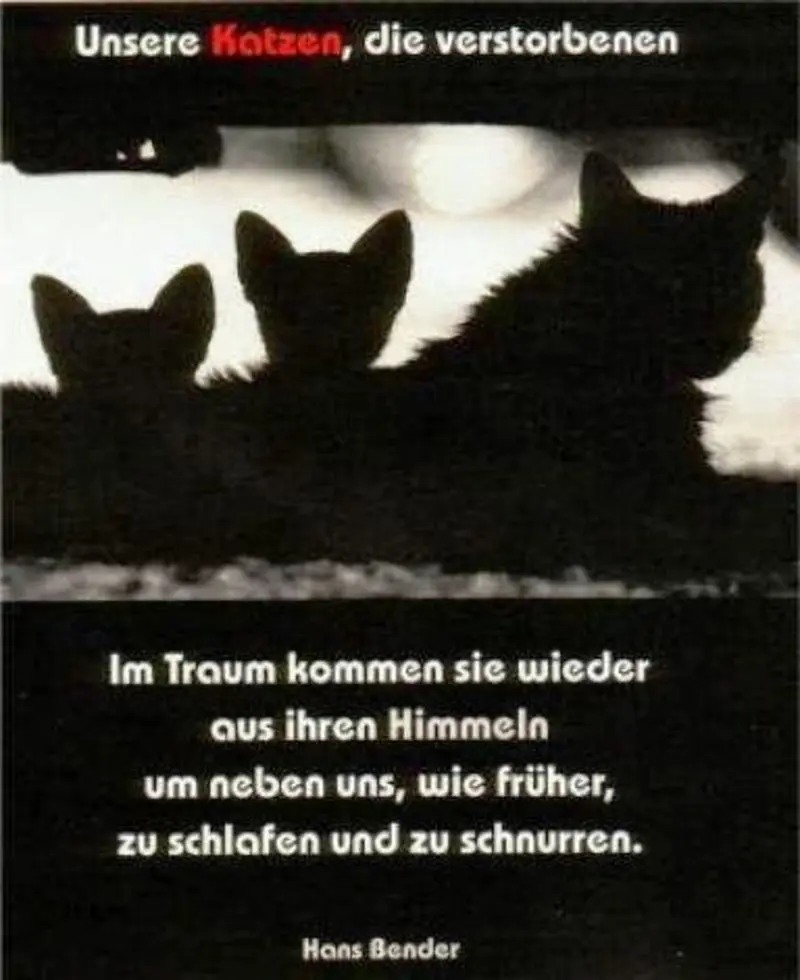 Andachtsbild von Tanja mit Timmy im Herzen 