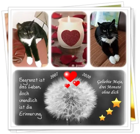 Andachtsbild von deiner Ilse, 3 Monate ohne dich