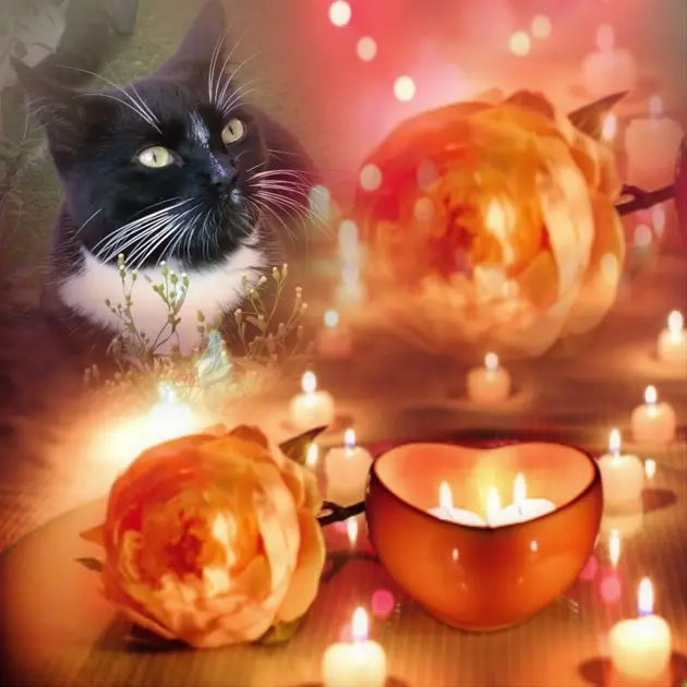 Andachtsbild von ❤️❤️❤️