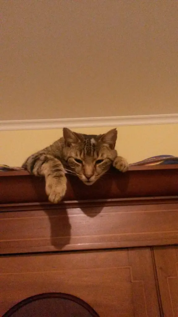 Andachtsbild von Corinna