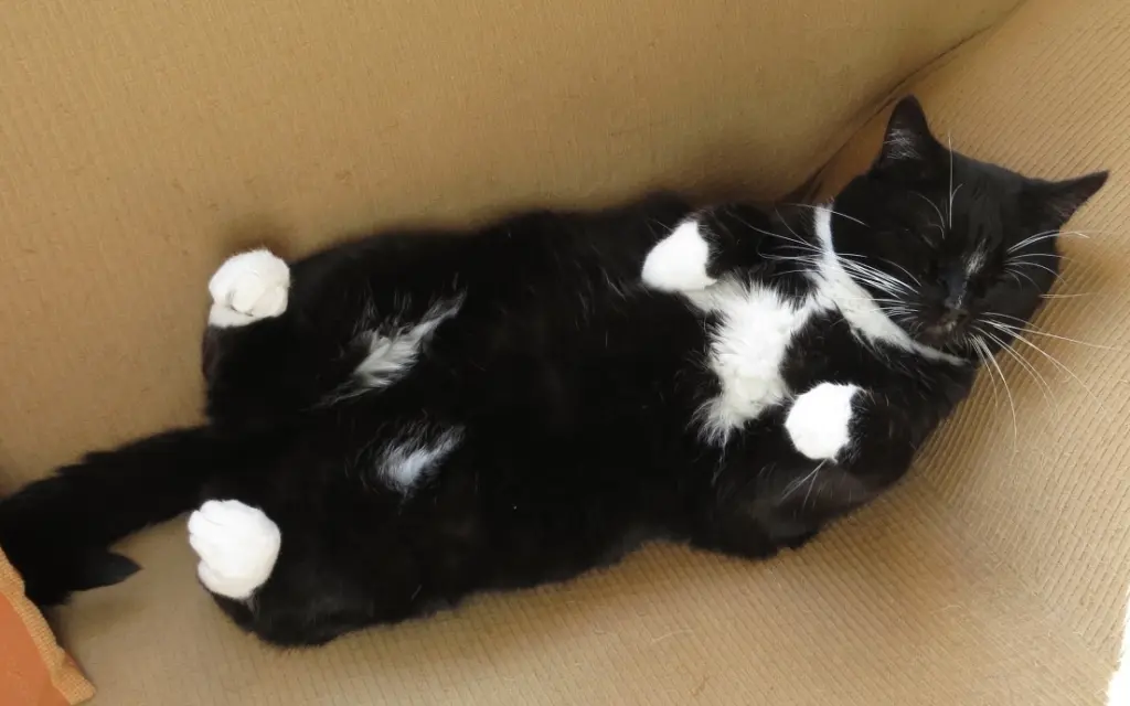 Andachtsbild von deiner Ilse in Liebe