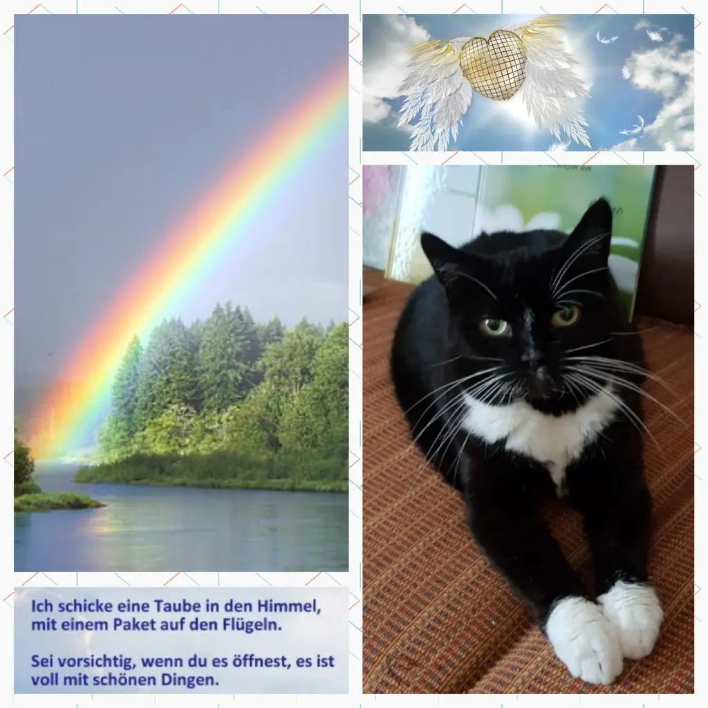 Andachtsbild von Anja mit Joy im Herzen ❤