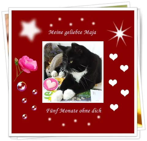 Andachtsbild von deiner Ilse, 5 Monate ohne dich