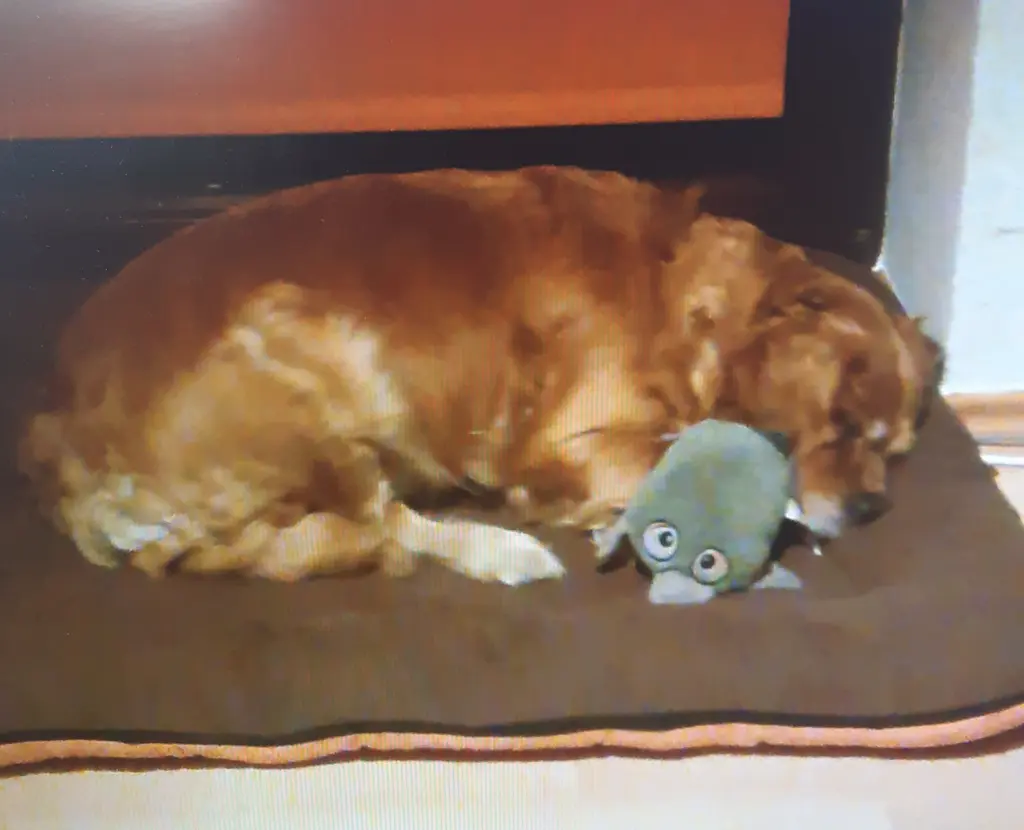 Andachtsbild von Ellen mit Lina ♥️