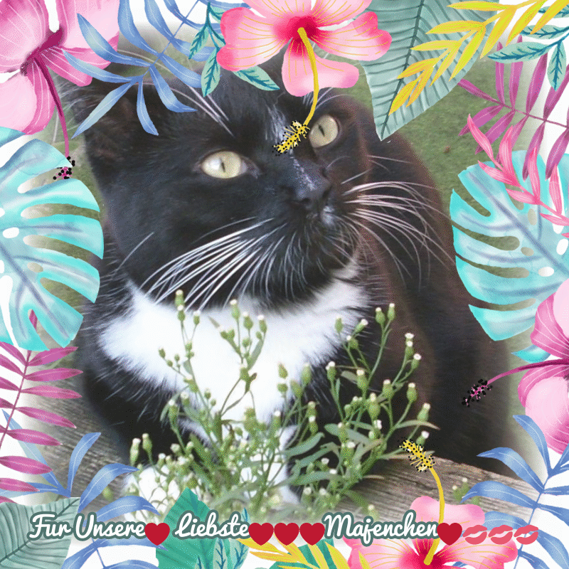 Andachtsbild von ❤️❤️❤️