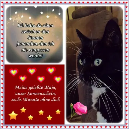 Andachtsbild von deiner Ilse, 6 Monate ohne dich