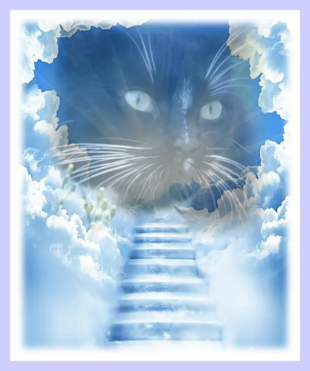 Andachtsbild von Sabine mit Kaspar tief im Herzen