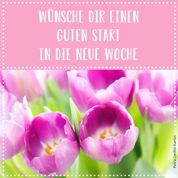 Andachtsbild von Montags Rosen für Maja ♥️♥️