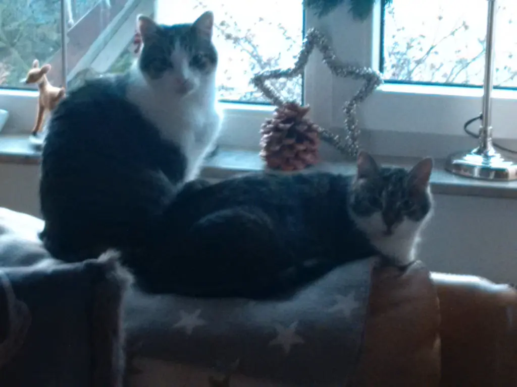 Andachtsbild von Fortsetzung