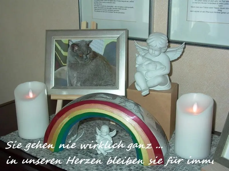 Andachtsbild von Hans u. Sibylle mit Momo † 13.11.2017