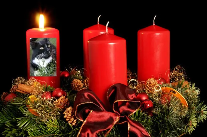 Andachtsbild von ❤️1. Advent❤️