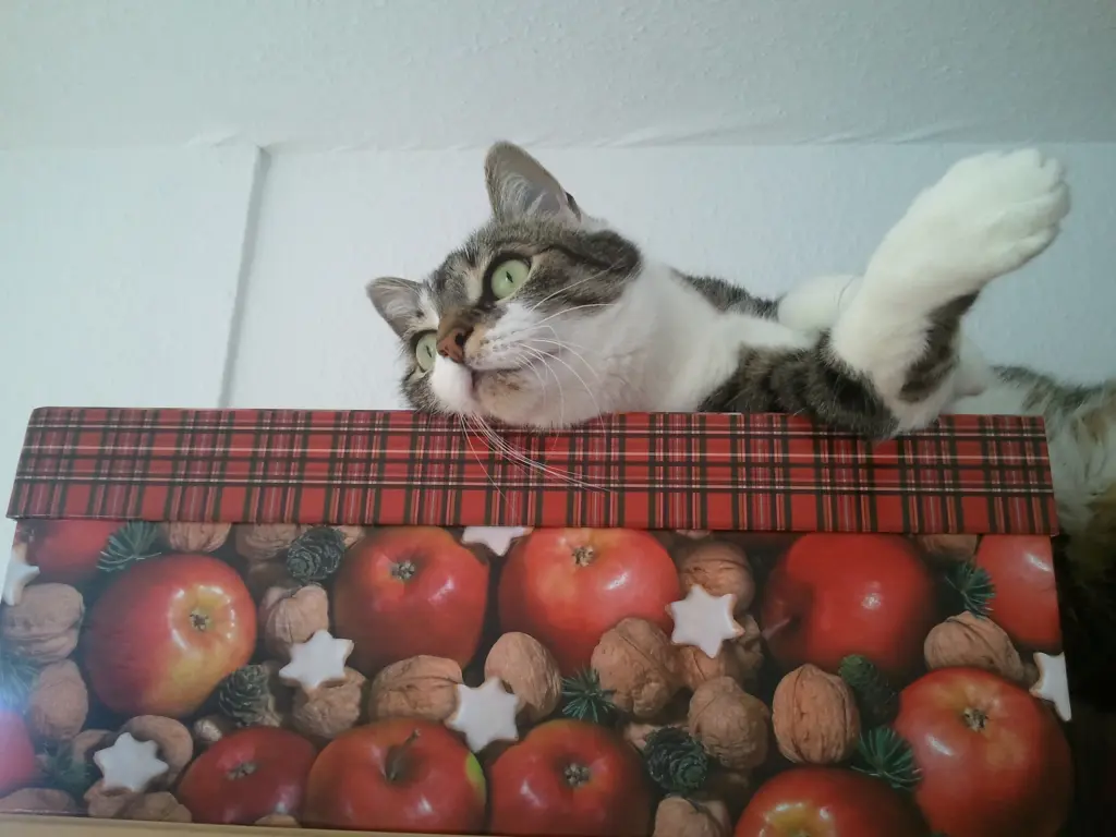 Andachtsbild von Sternchenpost ✰