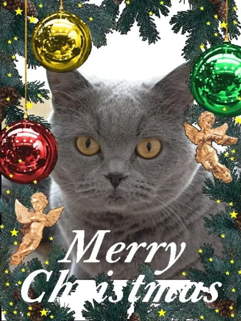 Andachtsbild von Hans u. Sibylle mit Momo † 13.11.2017