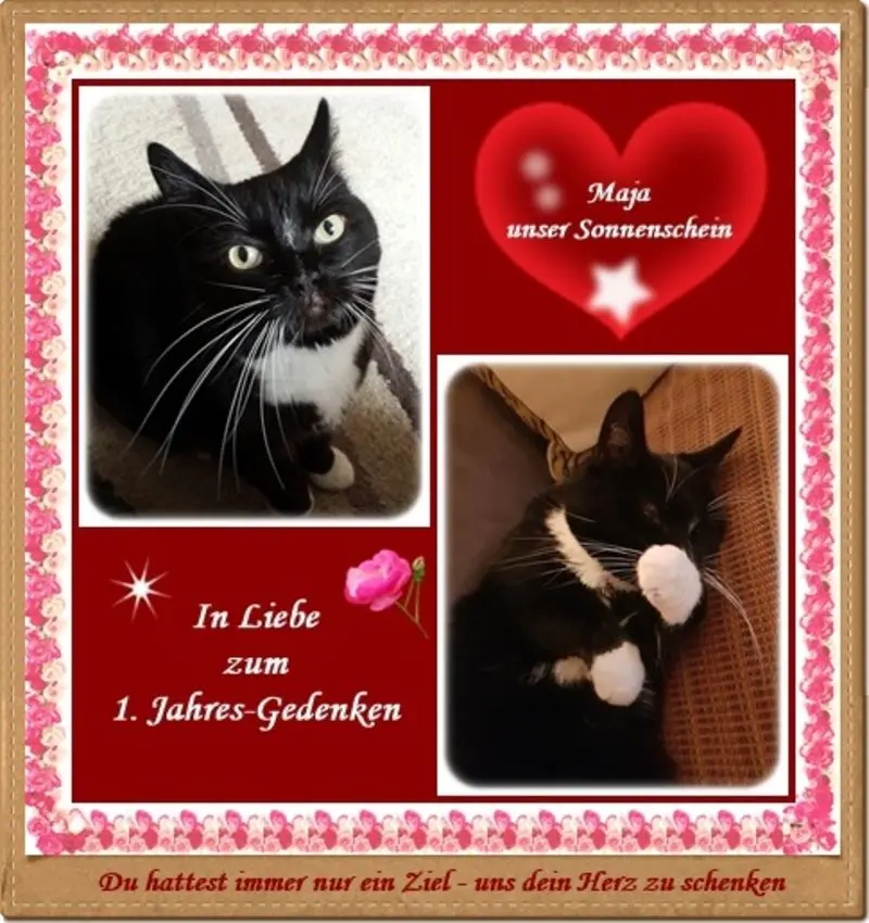 Andachtsbild von deiner Ilse zum 1. Jahres-Gedenken