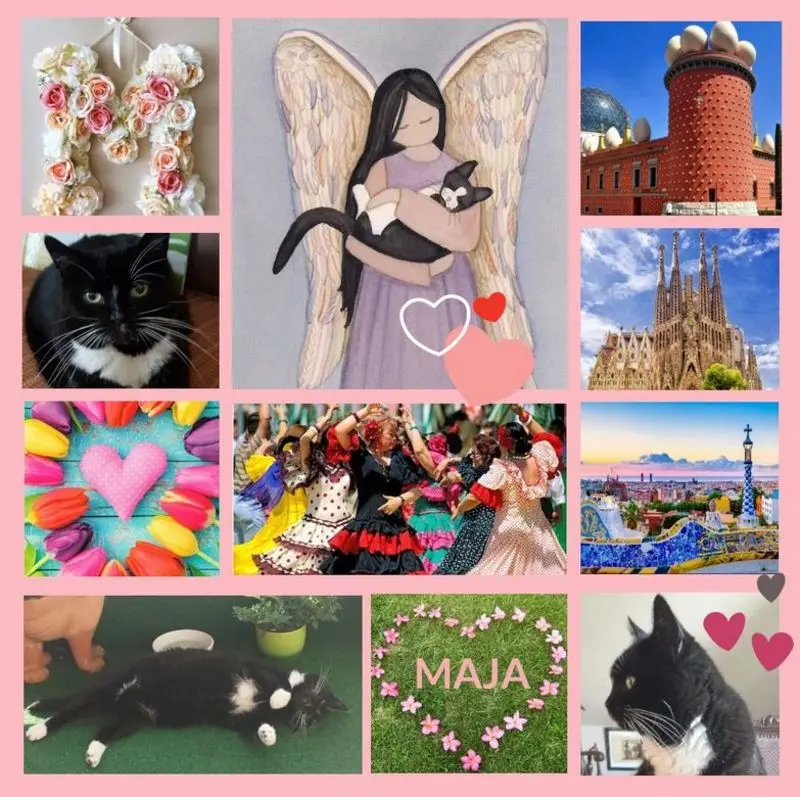 Andachtsbild von Rosen für Maja zum 1. Sternchengeburtstag