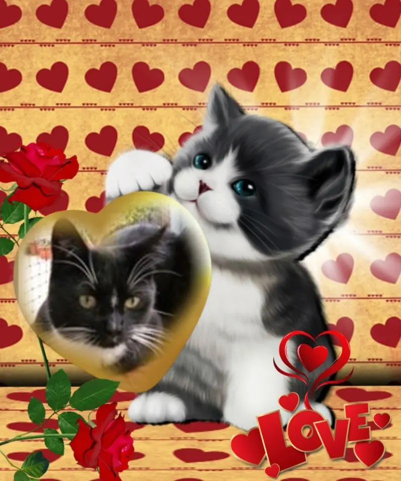 Andachtsbild von 1.Sternchen❤️Gedenktag❤️