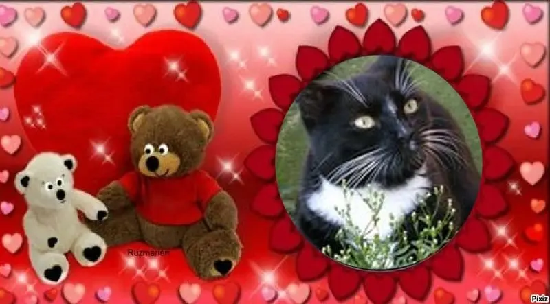 Andachtsbild von ❤️❤️❤️❤️❤️❤️