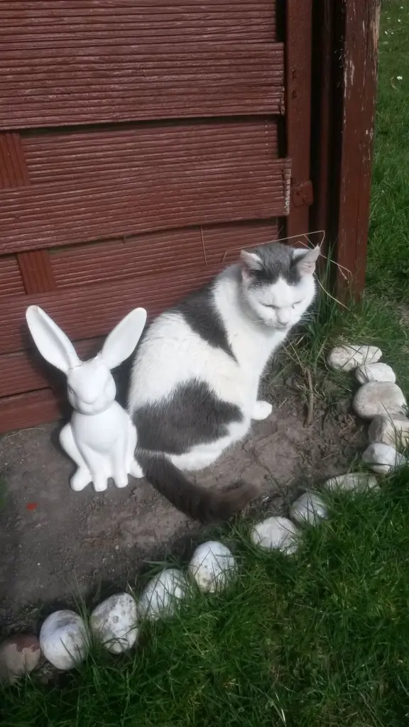 Andachtsbild von Corinna: hier mit Jengi :-)