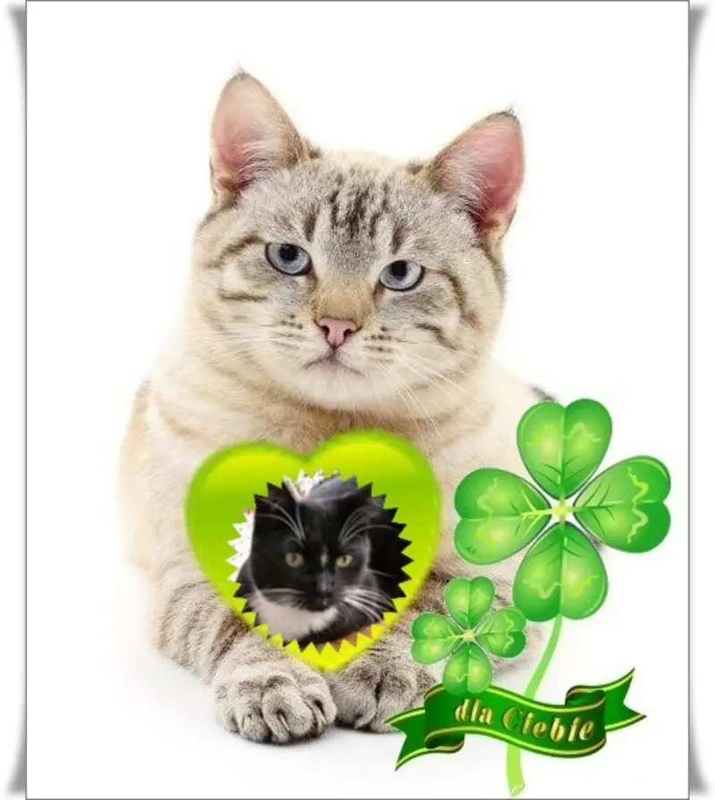 Andachtsbild von ❤️❤️❤️