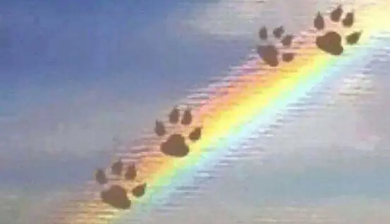 Andachtsbild von Ellen mit Lina ❤️ und all meinen Sternchen ❤️ 