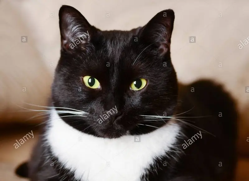 Andachtsbild von Tanja mit Timmy im Herzen 