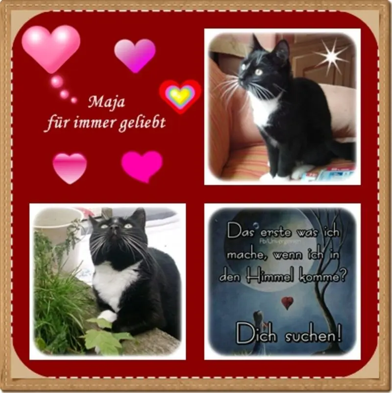 Andachtsbild von deiner Ilse zum 18. Gedenkmonat