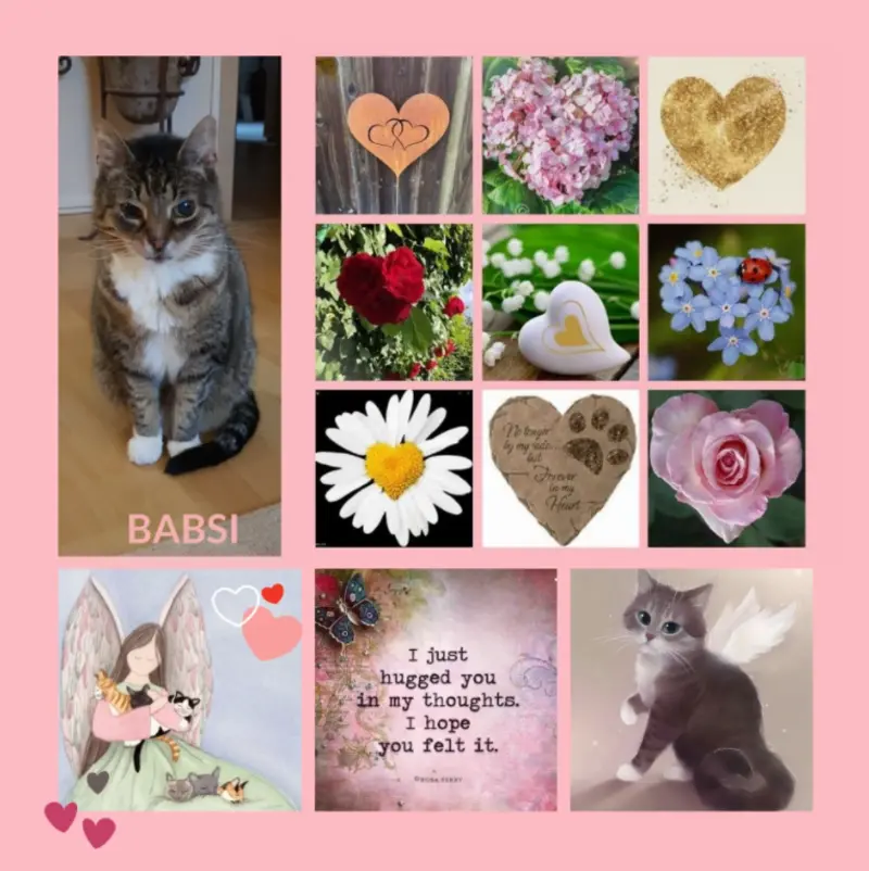 Andachtsbild von Rosen für Babsi 