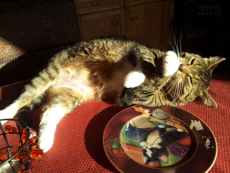 Andachtsbild von deiner Ilse in Liebe